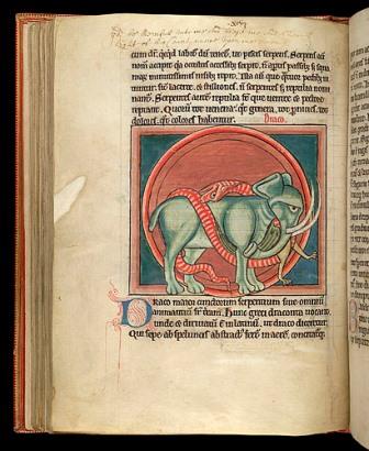 Combat de l'éléphant contre le dragon qui s'est enroulé autour de lui. Manuscrit de la British Library de Londres.