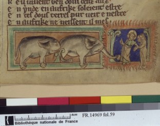 Allégorie de l'éléphant, Bibliothèque Nationale de France. Deux éléphants à côté de la mandragore. Le Christ gronde Adam et Ève pour avoir mangé le fruit défendu.