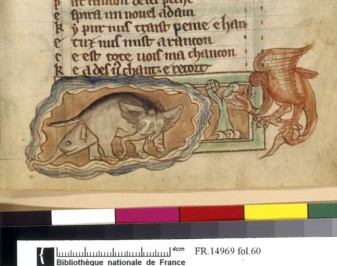 Naissance de l'éléphanteau, Bibliothèque Nationale de France. La femelle éléphant donne naissance à son petit dans l'eau, pour le protéger du dragon.