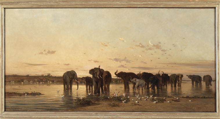 Eléphants d'Afrique de Charles de Tournemain au Musée d'Orsay